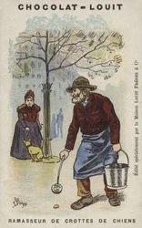 Dog Poop Collector